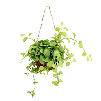 Claymade Hanging Basket